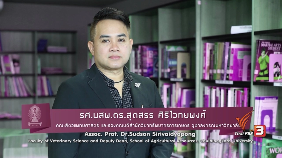 soเชี่ยว FAKE or FACT : การให้สุนัขกินของหวานจะทำให้ดุขึ้นจริงหรือไม่