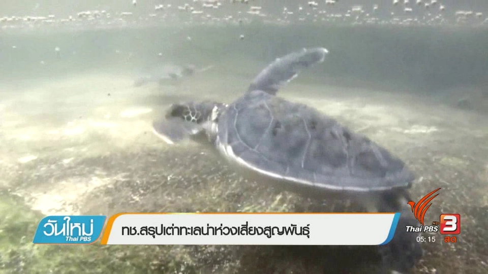 บทเรียนจากชีวิตเต่าออมสิน