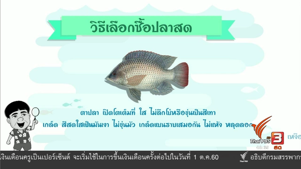 สายสืบเจาะตลาด : สืบราคาปลานิล