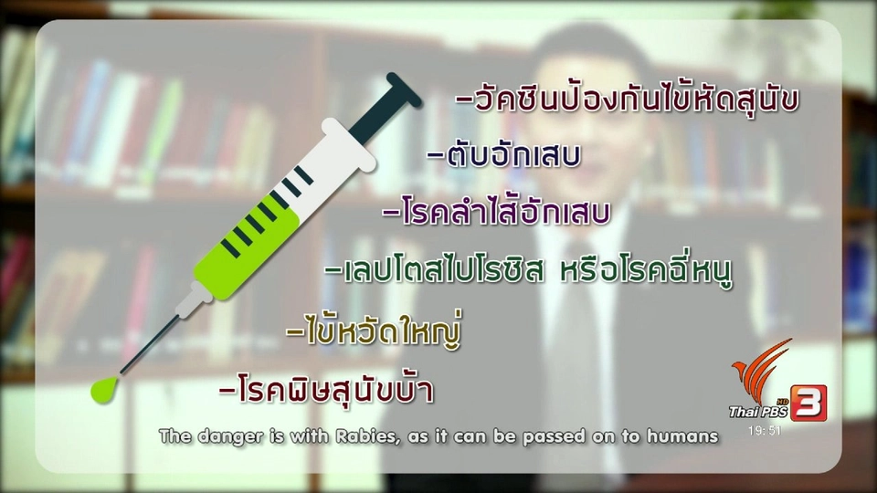 soเชี่ยว FAKE or FACT :  ห้ามอาบน้ำสุนัข 7 วัน หลังฉีดยา จริงหรือไม่