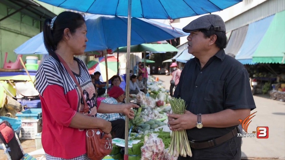สายสืบเจาะตลาด : สืบราคาข่า อ.โพธิ์ทอง จ.อ่างทอง
