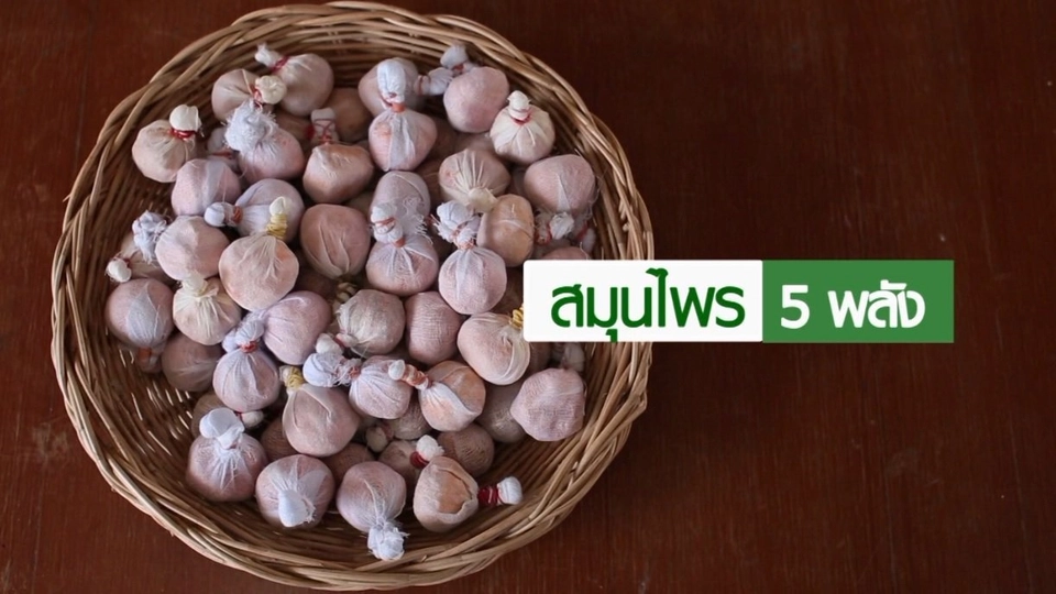 สมุนไพร 5 พลัง