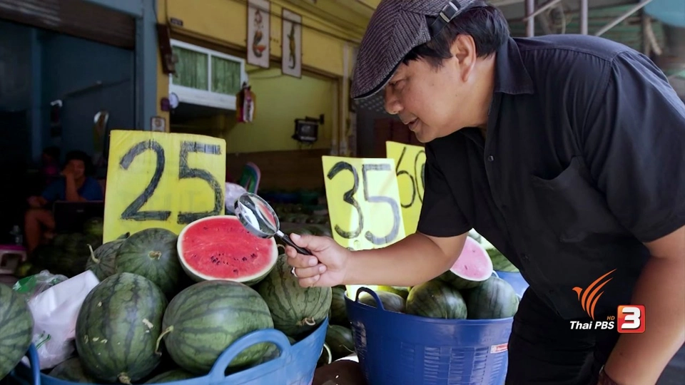 สายสืบเจาะตลาด : สืบราคาแตงโม อ.สามโก้ จ.อ่างทอง