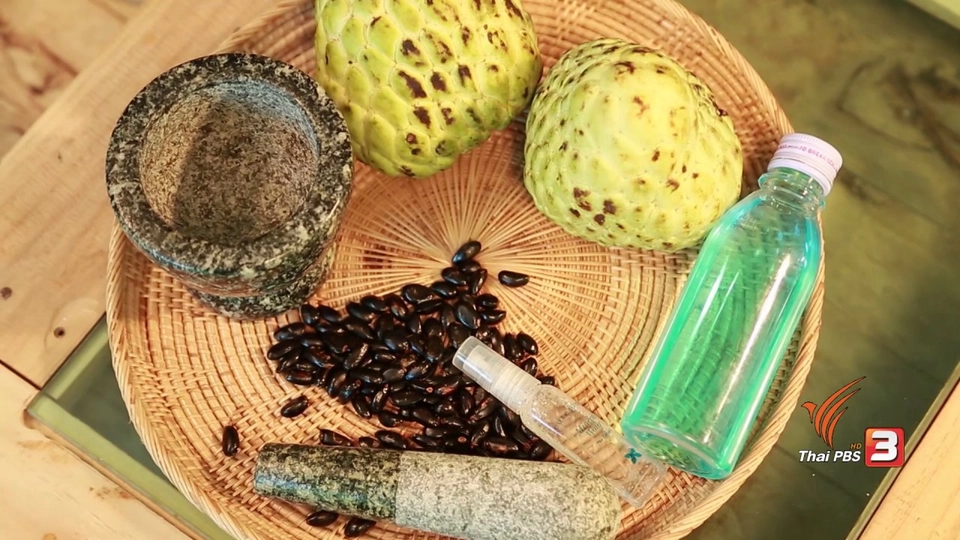 สุดยอดแม่บ้าน : วิธีทำน้ำยาปราบเห็บหมัด