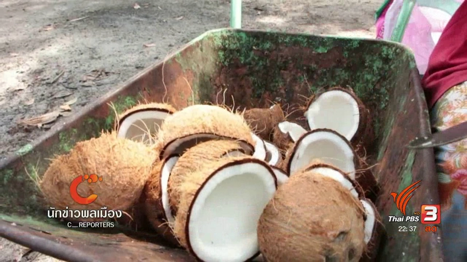 นักข่าวพลเมือง : มะพร้าวคั่ว สร้างอาชีพที่ยั่งยืน