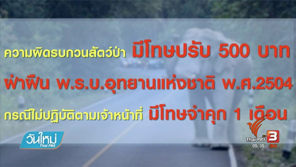 เอาผิดรถยนต์ยั่วโมโหช้างเขาใหญ่