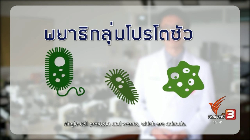 soเชี่ยว FAKE or FACT : พยาธิทางเดินอาหารมีส่วนทำให้น้ำหนักลดจริงหรือไม่