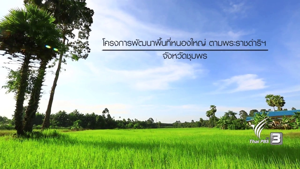 ความสำเร็จที่ยั่งยืนตามศาสตร์พระราชา โครงการพัฒนาพื้นที่หนองใหญ่ตามพระราชดำริ จ.ชุมพร