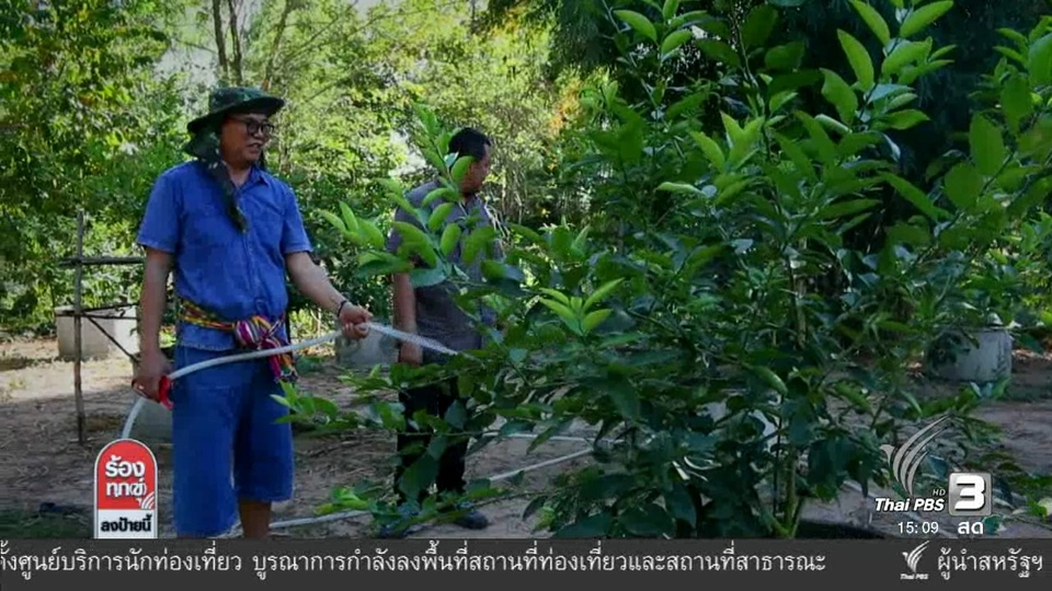ข้าราชการ น้อมนำเศรษฐกิจพอเพียง สร้างความสุขแก่ชีวิต จ.มหาสารคาม