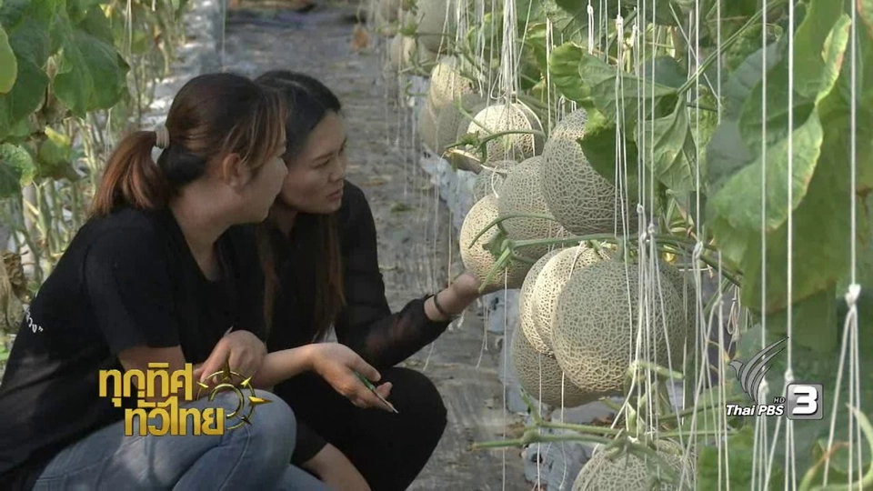 ประเด็นข่าว (29 ธ.ค. 59)