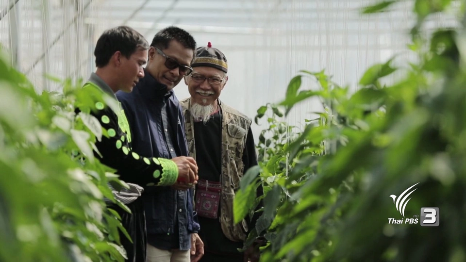 “ของขวัญจากผืนแผ่นดิน” อ.ปง จ.พะเยา