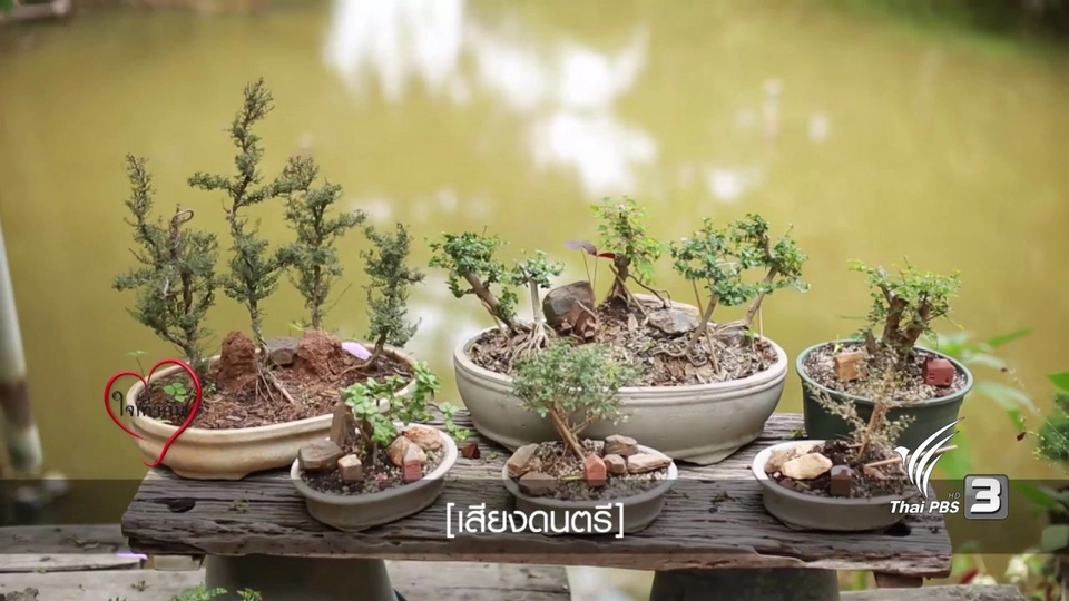 ศิลปะโฟล์คอาร์ต และ บอนไซบนสวนหิน