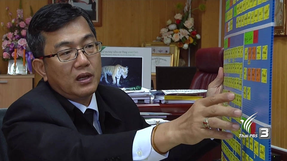 สรุปปลายปี เสือสั่งวัด และ ยาหลังร้าน