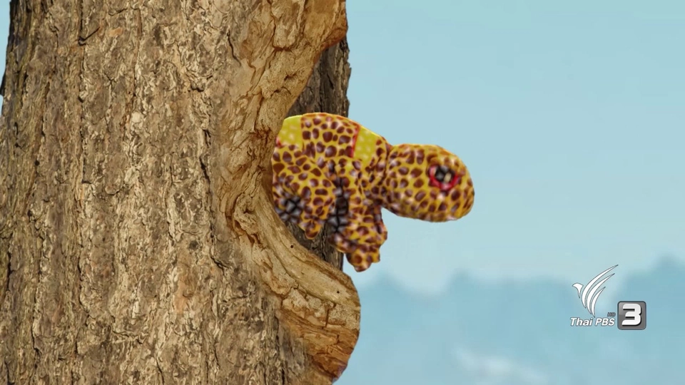 ลิซซี่ลอกคราบ