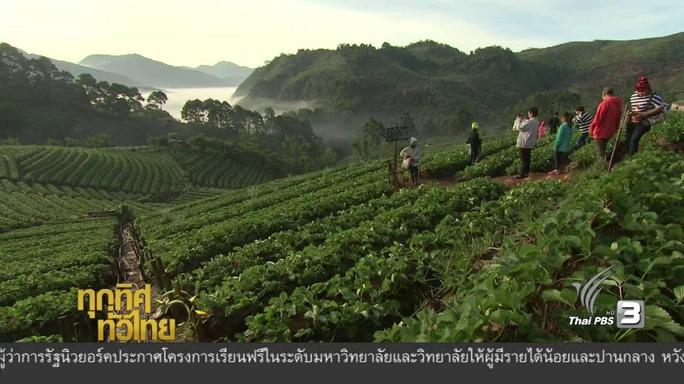 สถานีเกษตรหลวงอ่างขาง จ.เชียงใหม่