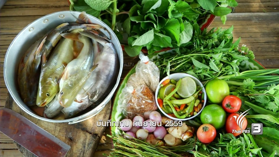 ตะลุยทั่วไทย : ปลาเผาะ
