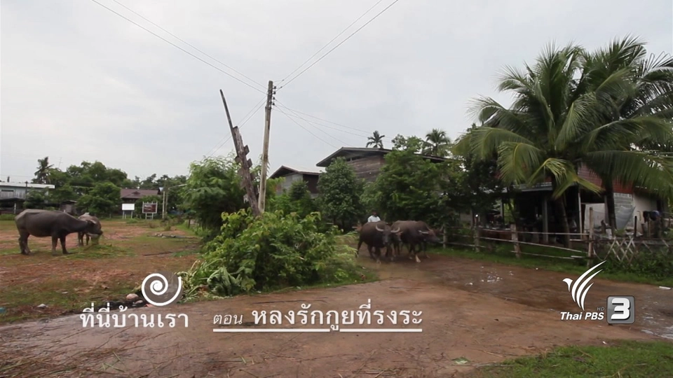 หลงรักกูยที่รงระ