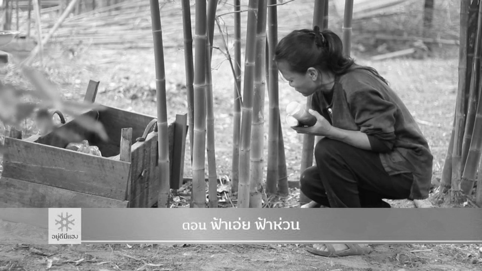 ฟ้าเอ่ย ฟ้าห่วน​