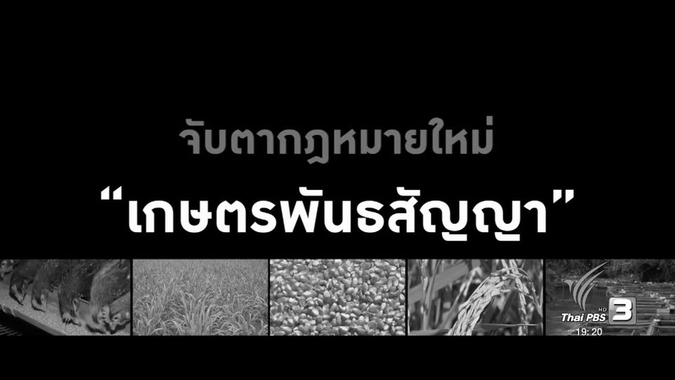 จับตากฎหมายใหม่ "เกษตรพันธสัญญา"