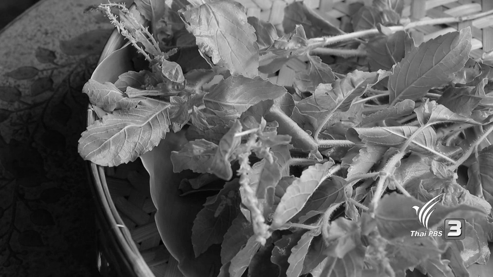 ผัดกะเพราปลากะพงไข่ต้ม