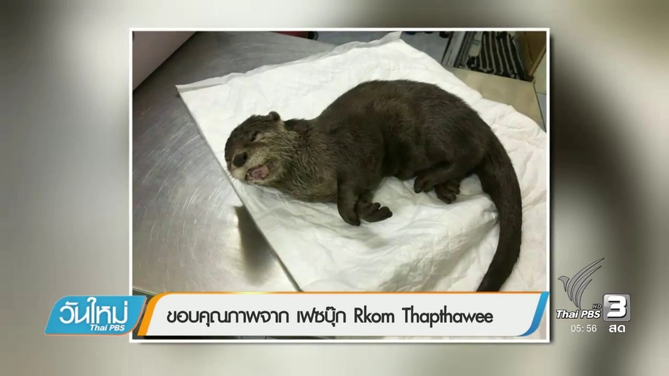 สื่อโซเชียลช่วยเหลือนากรอดตาย