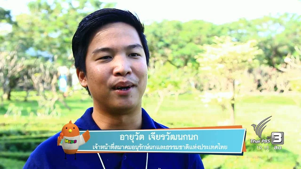 ดูนกกลางกรุง