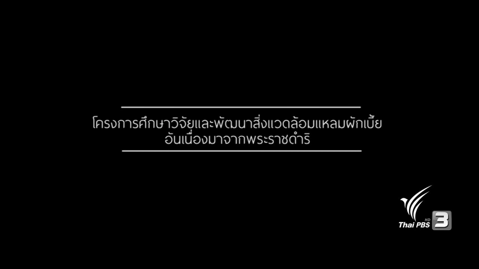 แหลมผักเบี้ย