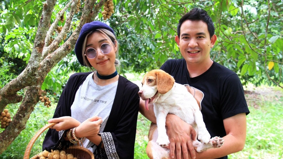 ลองกองตันหยงมัส