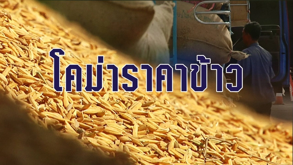 โคม่าราคาข้าว
