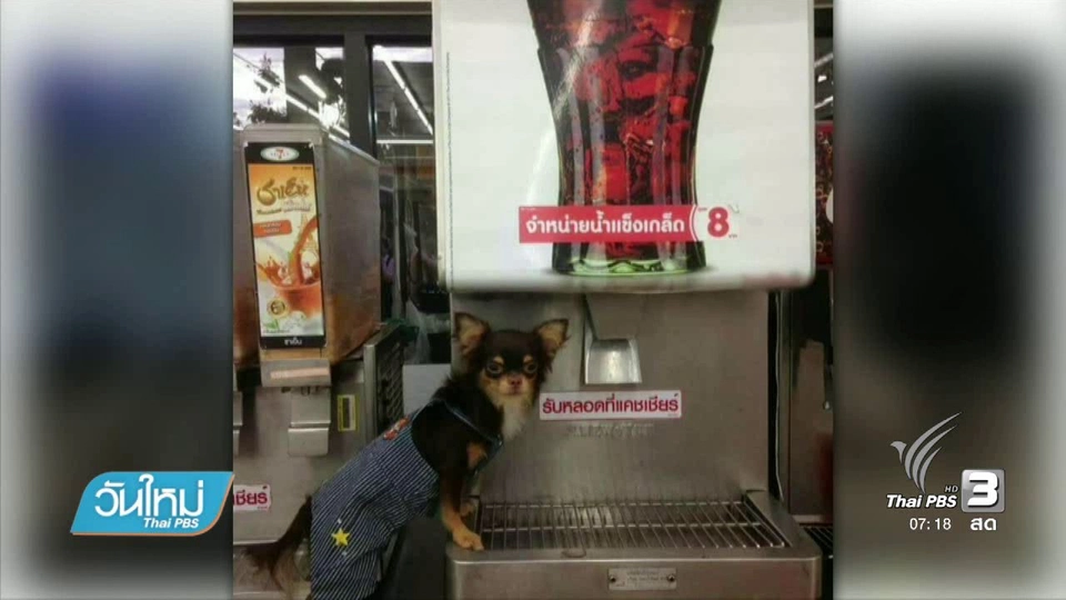 โลกออนไลน์ไม่เห็นด้วยสุนัขเลียช้อนไอศกรีม