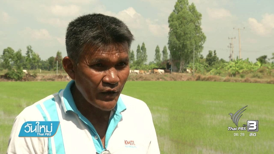เกษตรผสมผสานทางรอดชาวนาไทย