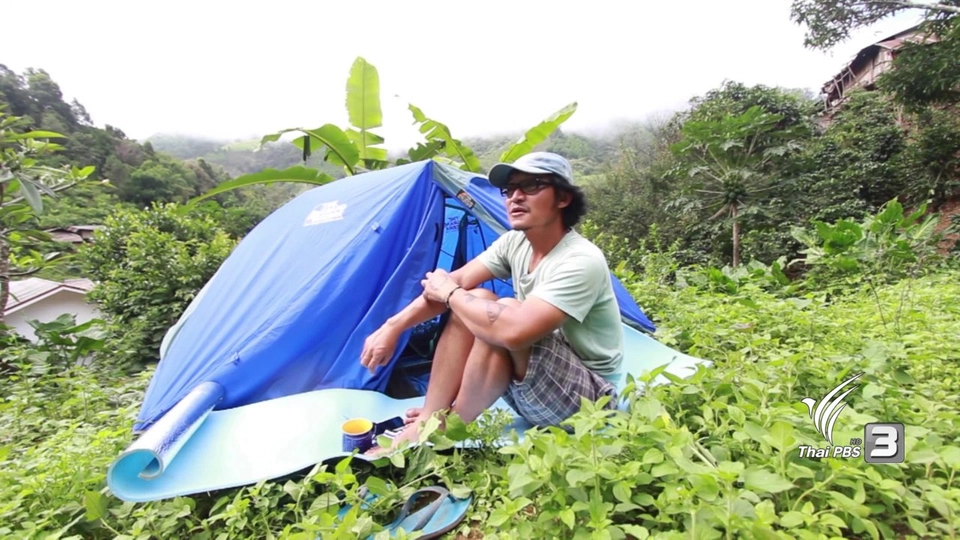 คนไทยไม่นิยมราก