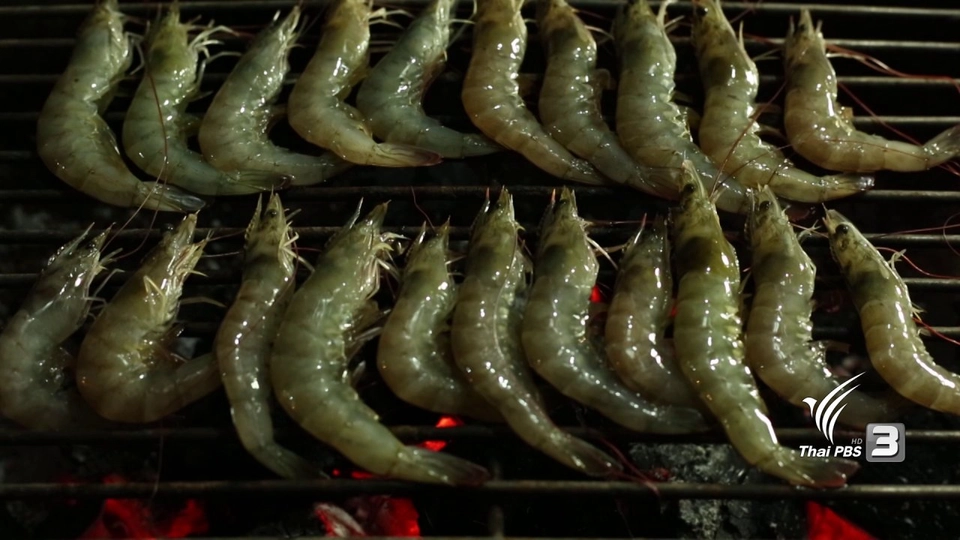 นิเวศน์แห่งท้องทะเลตะวันออก บ้านแขมหนู จ.จันทบุรี