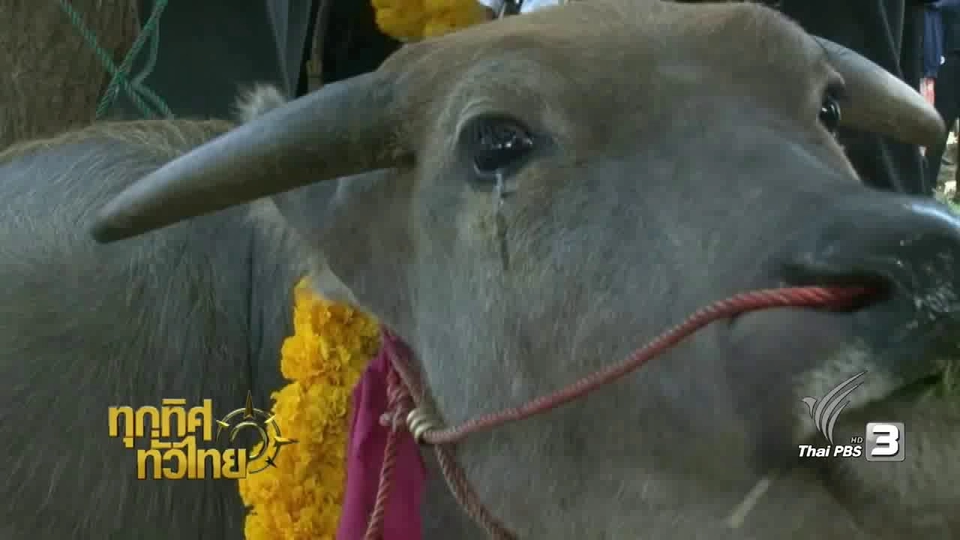 ประเด็นข่าว (9 ธ.ค. 59)