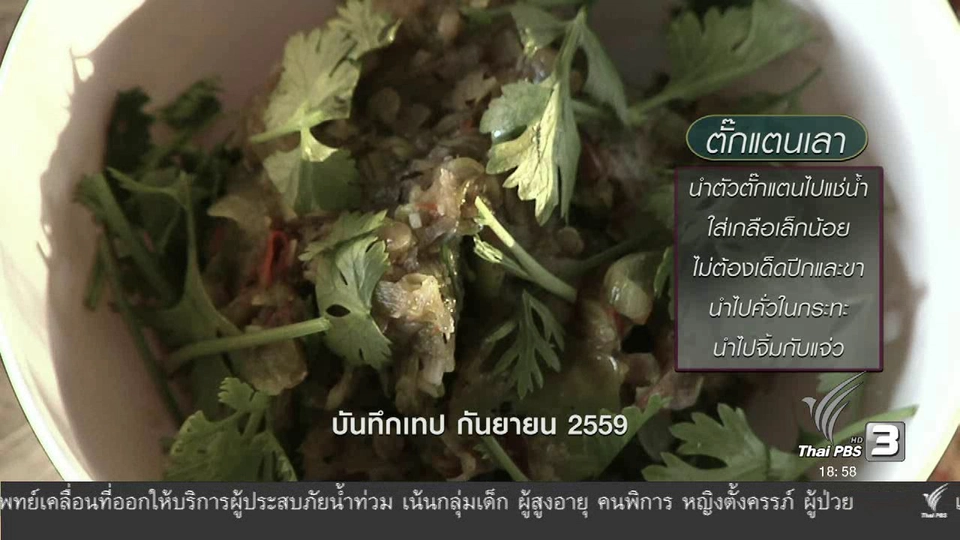 ตะลุยทั่วไทย : ตั๊กแตนเลา