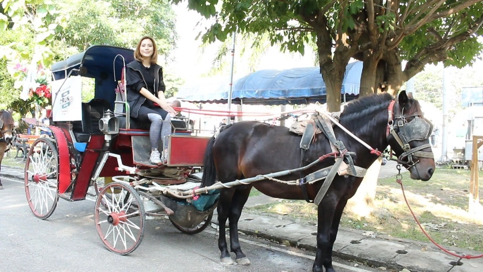 เก๋ายกก๊วน : เที่ยวกาดกองต้า