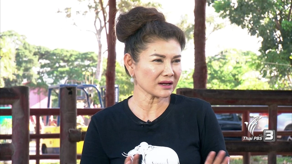 วิธีฝึกช้างทำการแสดง