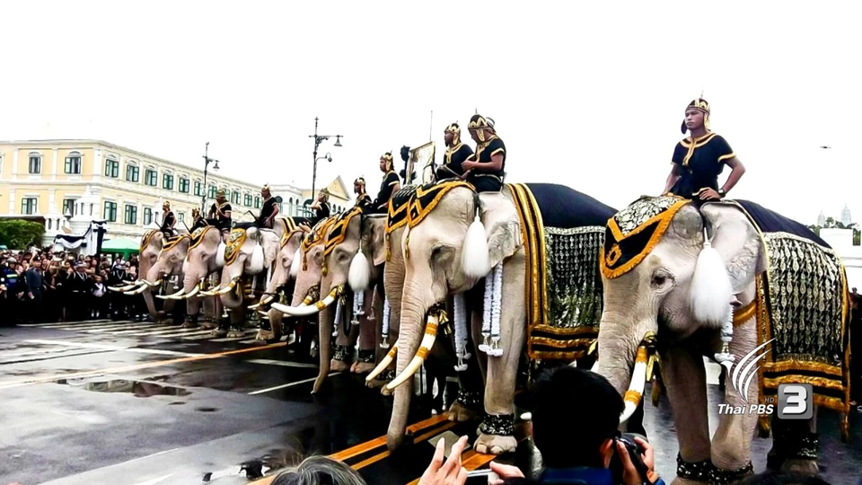 เบื้องหลังขบวนช้างสักการะพระบรมศพในหลวง รัชกาลที่ 9