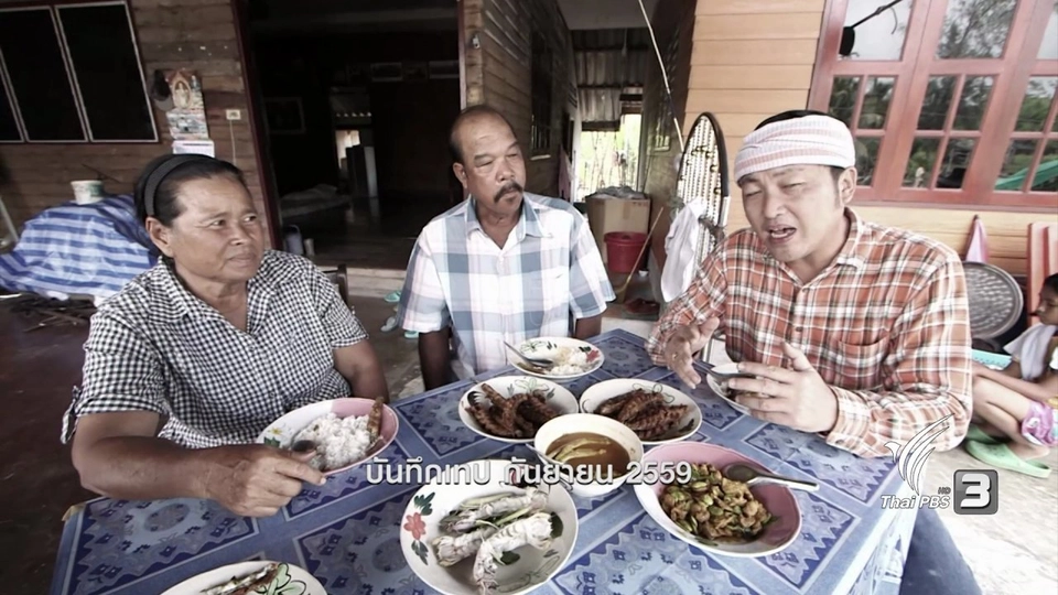 ปลาเขือ