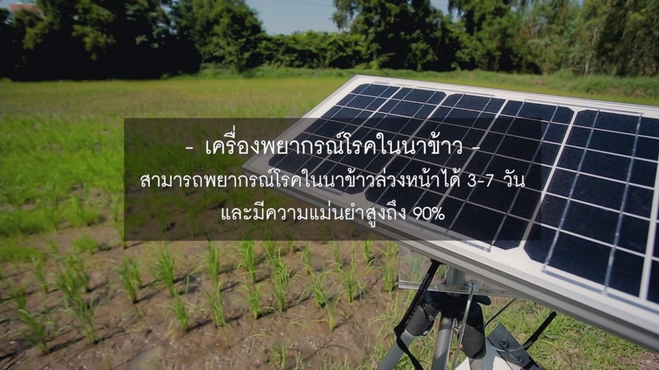 นวัตกรรมเครื่องพยากรณ์โรคในนาข้าว