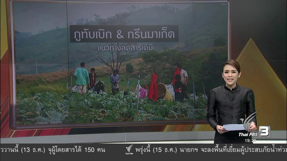 ภูทับเบิก & กรีนมาเก็จ แนวทางลดสารเคมี