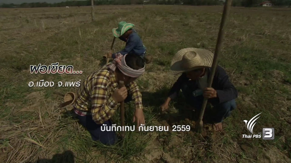 ตะลุยทั่วไทย : ฝอเขียด