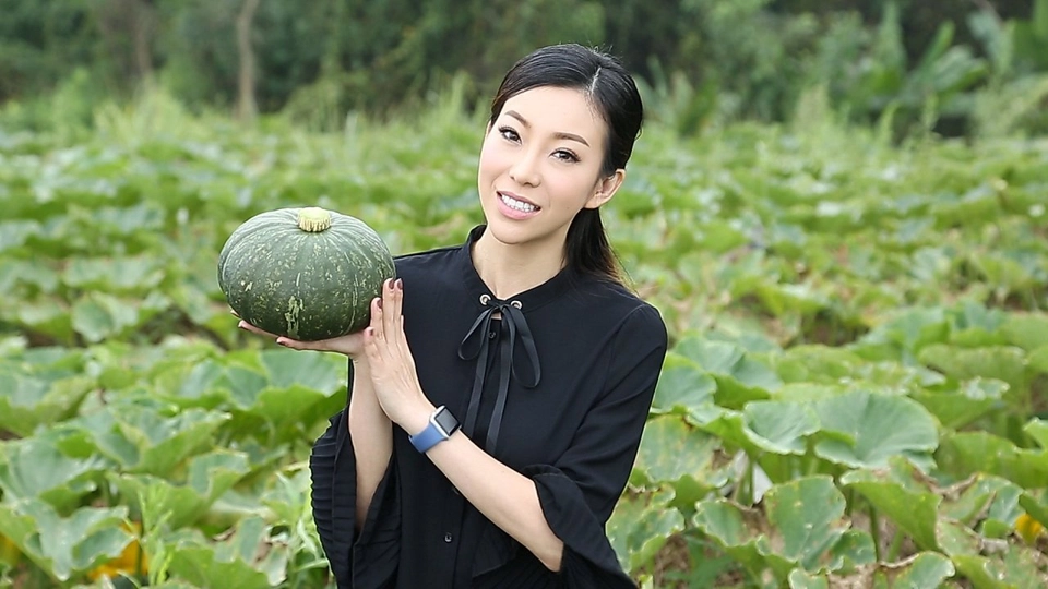 ศูนย์พัฒนาโครงการหลวงม่อนเงาะ จ.เชียงใหม่, ชม ดม ดื่ม ชาที่ม่อนเงาะ