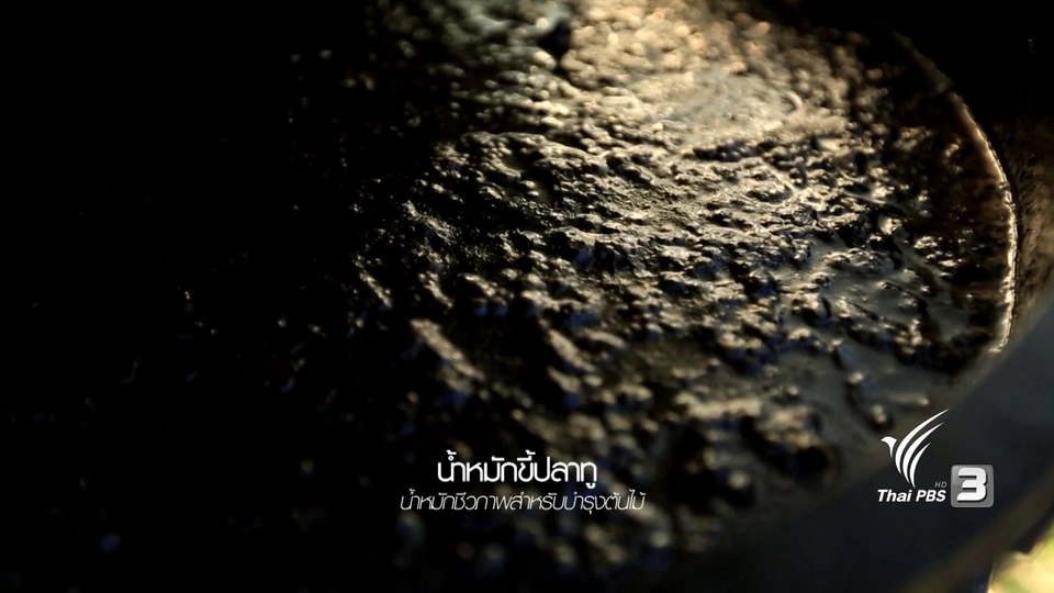 ชุมชนแห่งความยั่งยืน