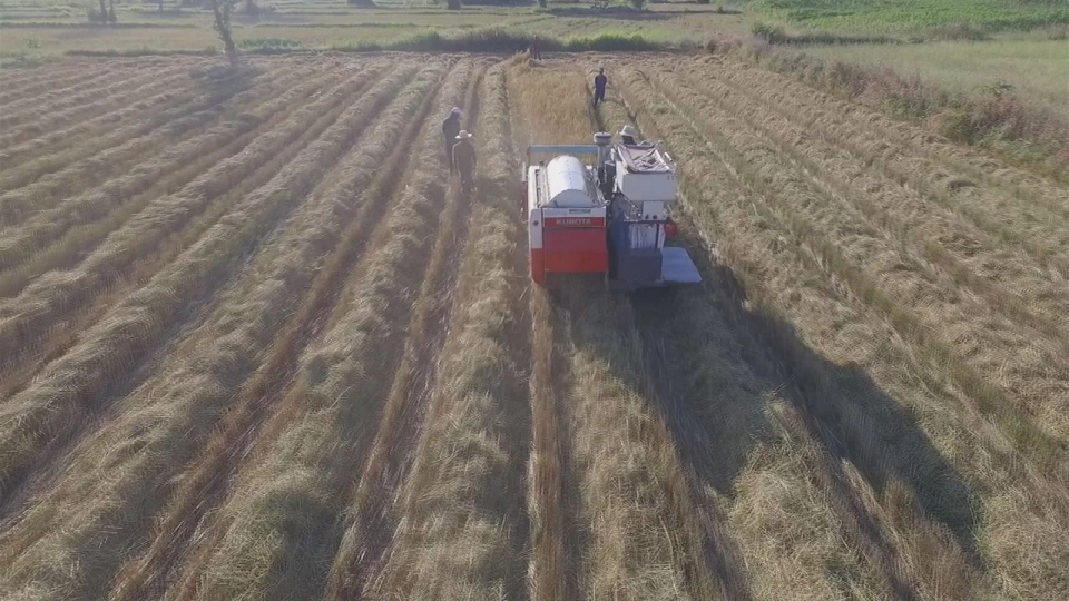 เฮ็ดนาเฮ็ดหยัง​