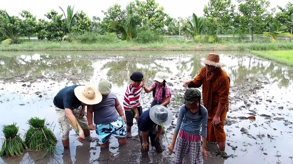 ข้าว..ในความพอดี