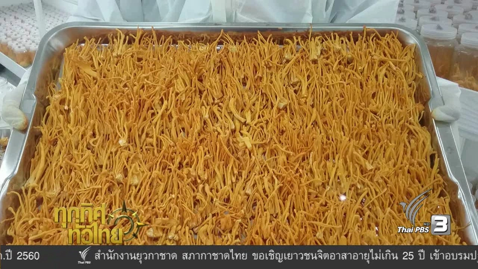 ประเด็นข่าว ( 22 ธ.ค. 59)