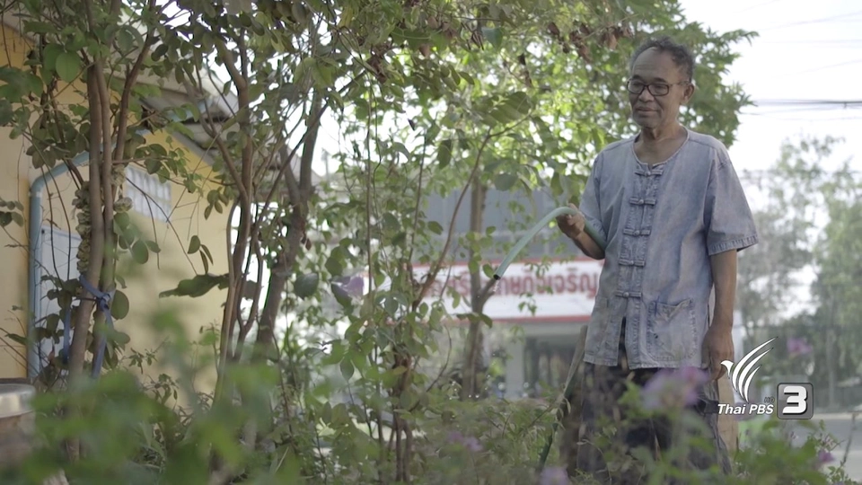 ปณิธานต้นไม้ : ต้นไม้ = เครือข่าย