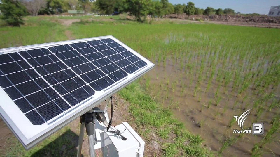 เทคโนโลยีคัดแยกเมล็ดพันธุ์