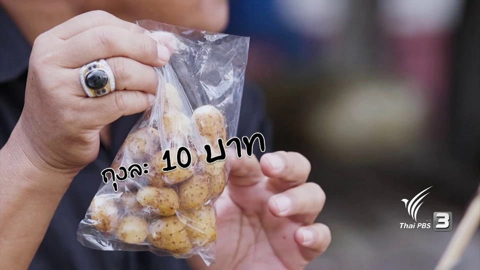 สายสืบเจาะตลาด : สำรวจราคากันที่ตลาดชุกโดน จ.กาญจนบุรี